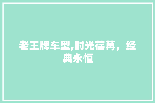 老王牌车型,时光荏苒，经典永恒