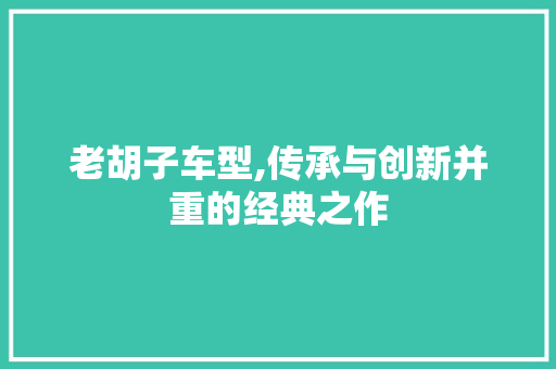 老胡子车型,传承与创新并重的经典之作