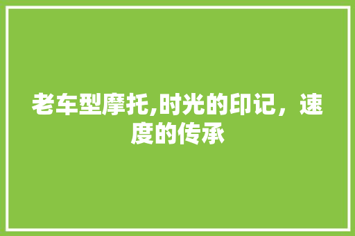 老车型摩托,时光的印记，速度的传承