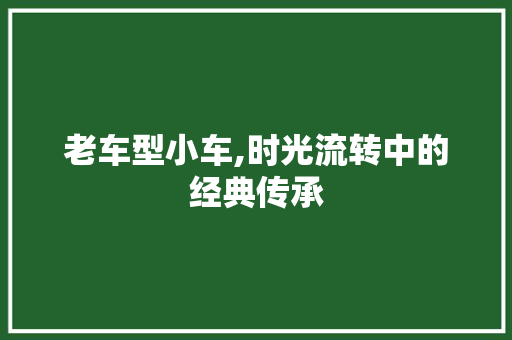 老车型小车,时光流转中的经典传承