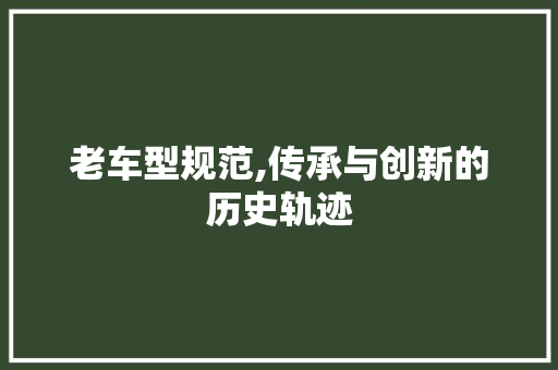 老车型规范,传承与创新的历史轨迹