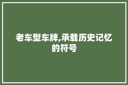 老车型车牌,承载历史记忆的符号