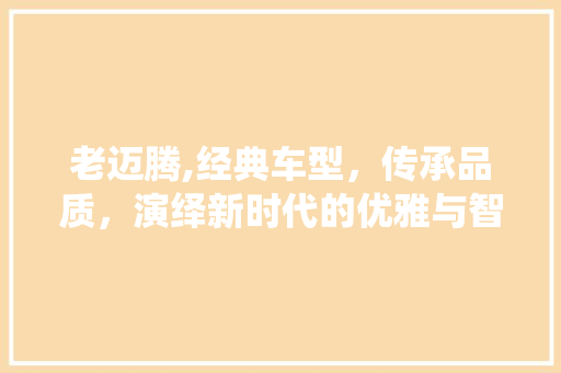 老迈腾,经典车型，传承品质，演绎新时代的优雅与智慧