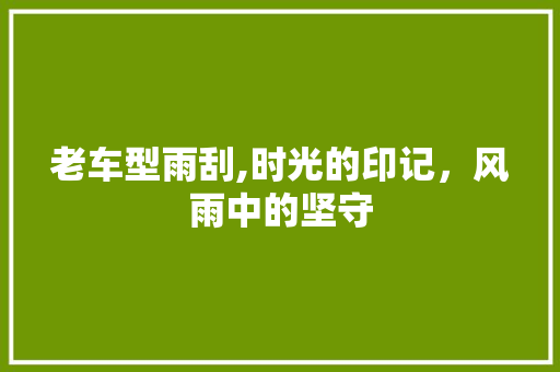 老车型雨刮,时光的印记，风雨中的坚守