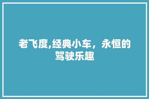 老飞度,经典小车，永恒的驾驶乐趣
