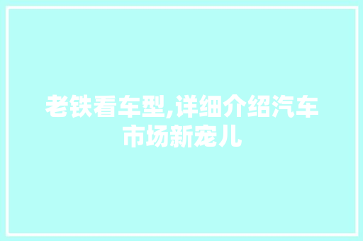 老铁看车型,详细介绍汽车市场新宠儿
