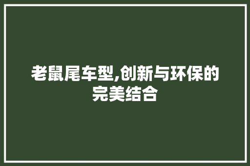 老鼠尾车型,创新与环保的完美结合 蓄电池配件