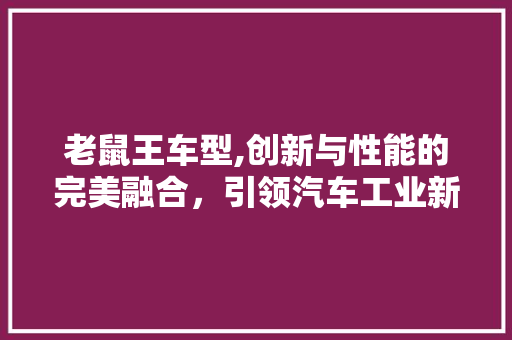 老鼠王车型,创新与性能的完美融合，引领汽车工业新篇章