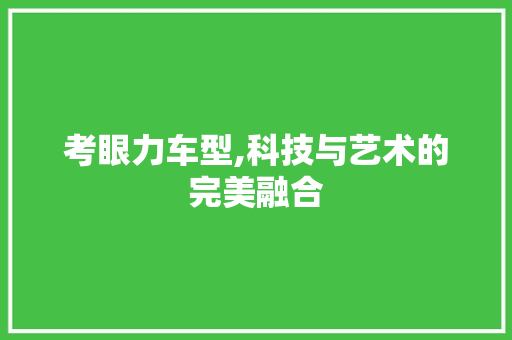 考眼力车型,科技与艺术的完美融合