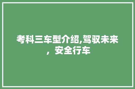 考科三车型介绍,驾驭未来，安全行车