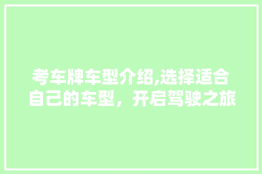 考车牌车型介绍,选择适合自己的车型，开启驾驶之旅