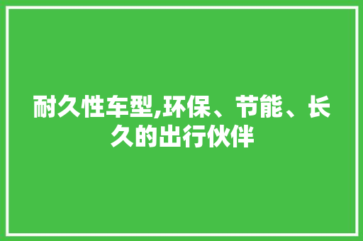 耐久性车型,环保、节能、长久的出行伙伴