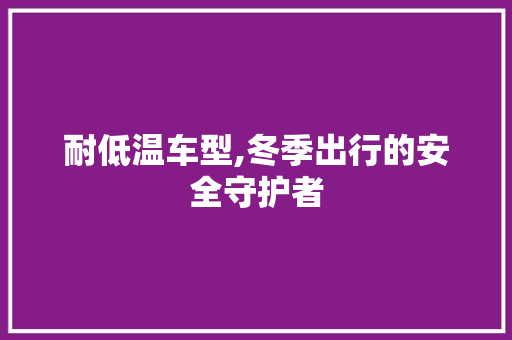 耐低温车型,冬季出行的安全守护者