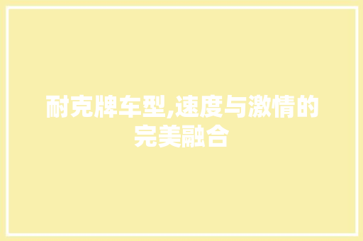 耐克牌车型,速度与激情的完美融合