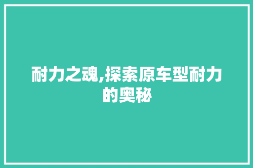耐力之魂,探索原车型耐力的奥秘