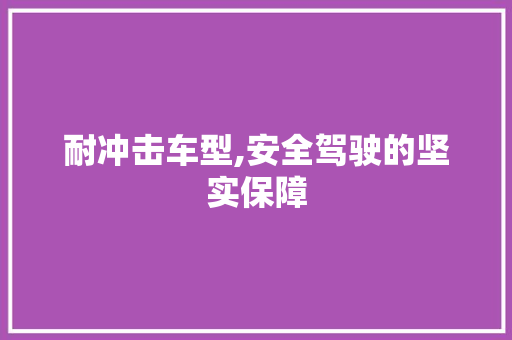 耐冲击车型,安全驾驶的坚实保障