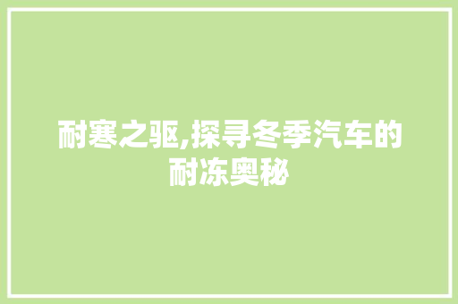 耐寒之驱,探寻冬季汽车的耐冻奥秘