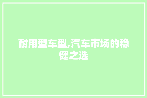 耐用型车型,汽车市场的稳健之选