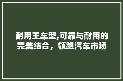 耐用王车型,可靠与耐用的完美结合，领跑汽车市场