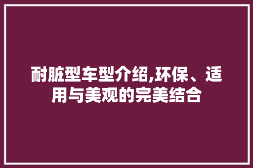 耐脏型车型介绍,环保、适用与美观的完美结合
