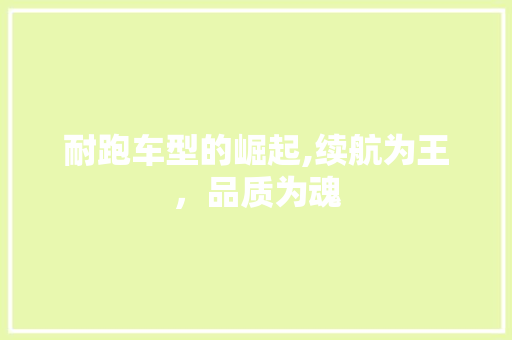 耐跑车型的崛起,续航为王，品质为魂