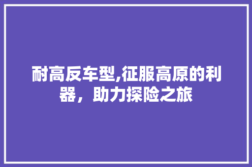 耐高反车型,征服高原的利器，助力探险之旅