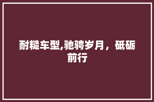 耐糙车型,驰骋岁月，砥砺前行