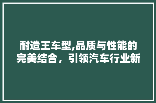 耐造王车型,品质与性能的完美结合，引领汽车行业新潮流