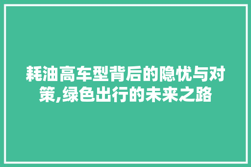 耗油高车型背后的隐忧与对策,绿色出行的未来之路