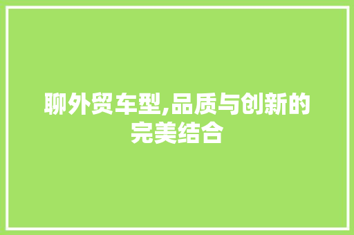 聊外贸车型,品质与创新的完美结合