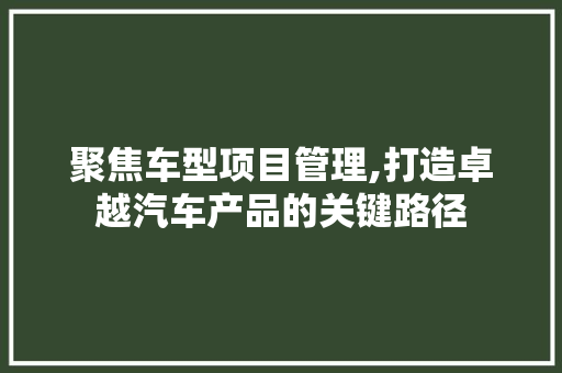 聚焦车型项目管理,打造卓越汽车产品的关键路径