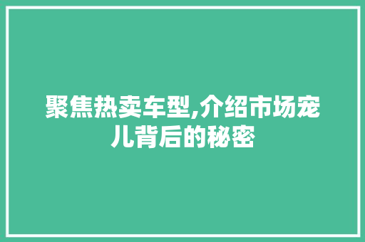 聚焦热卖车型,介绍市场宠儿背后的秘密