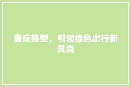 肇庆换型，引领绿色出行新风尚