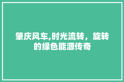 肇庆风车,时光流转，旋转的绿色能源传奇