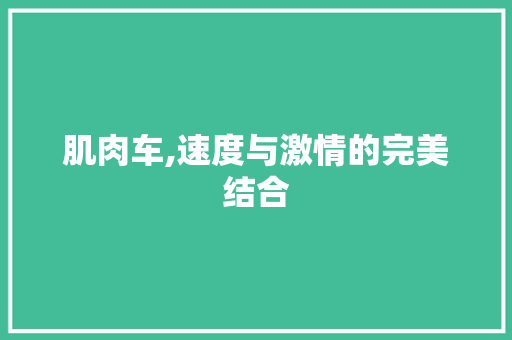 肌肉车,速度与激情的完美结合