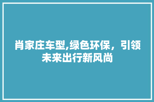 肖家庄车型,绿色环保，引领未来出行新风尚