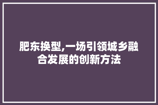 肥东换型,一场引领城乡融合发展的创新方法