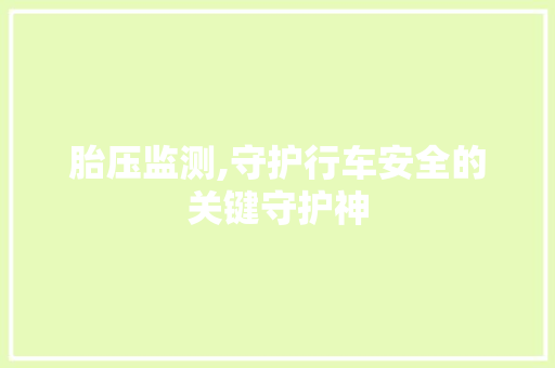 胎压监测,守护行车安全的关键守护神