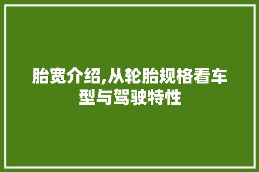 胎宽介绍,从轮胎规格看车型与驾驶特性