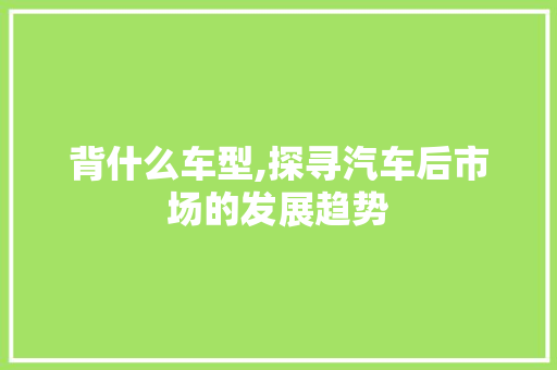 背什么车型,探寻汽车后市场的发展趋势