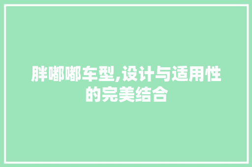 胖嘟嘟车型,设计与适用性的完美结合