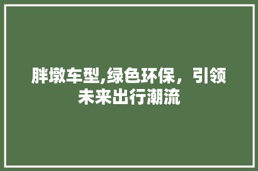 胖墩车型,绿色环保，引领未来出行潮流