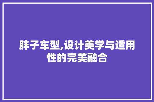 胖子车型,设计美学与适用性的完美融合