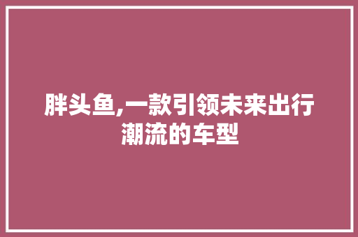 胖头鱼,一款引领未来出行潮流的车型