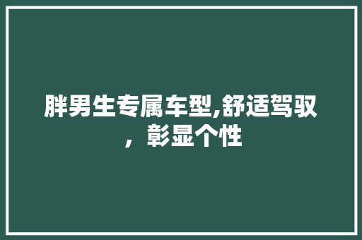 胖男生专属车型,舒适驾驭，彰显个性