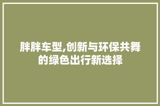 胖胖车型,创新与环保共舞的绿色出行新选择