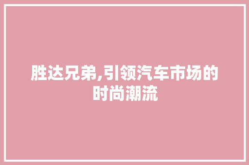 胜达兄弟,引领汽车市场的时尚潮流