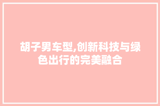 胡子男车型,创新科技与绿色出行的完美融合