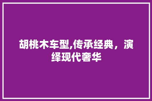 胡桃木车型,传承经典，演绎现代奢华