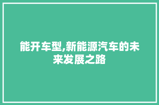 能开车型,新能源汽车的未来发展之路